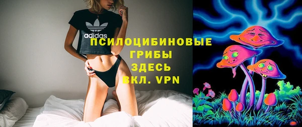 тгк Армянск