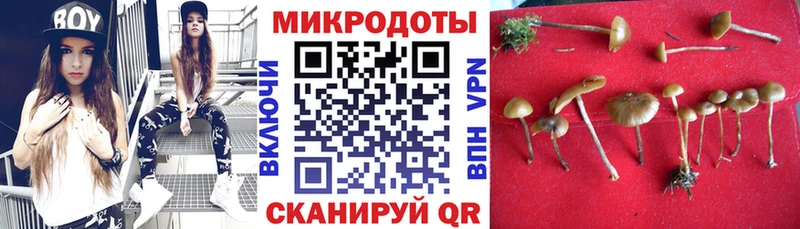 Галлюциногенные грибы Cubensis  MEGA ссылки  Туймазы 